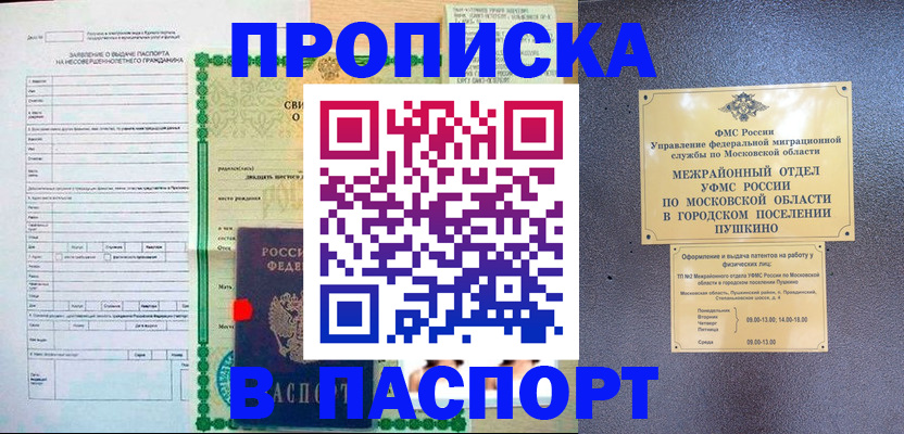 временная регистрация госуслуги в Старой Купавне
